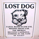 Illustration for article titled Today is Lost Dog Awareness Day